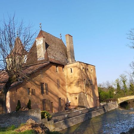 Chateau De La Venerie Denicé Eksteriør bilde