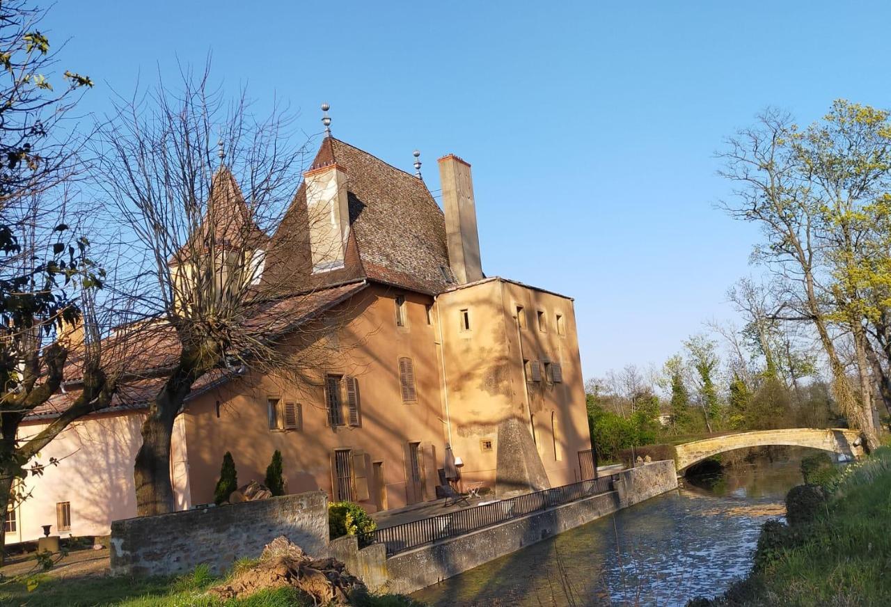 Chateau De La Venerie Denicé Eksteriør bilde