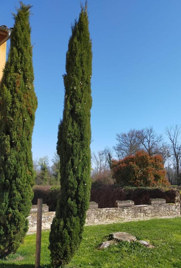 Chateau De La Venerie Denicé Eksteriør bilde