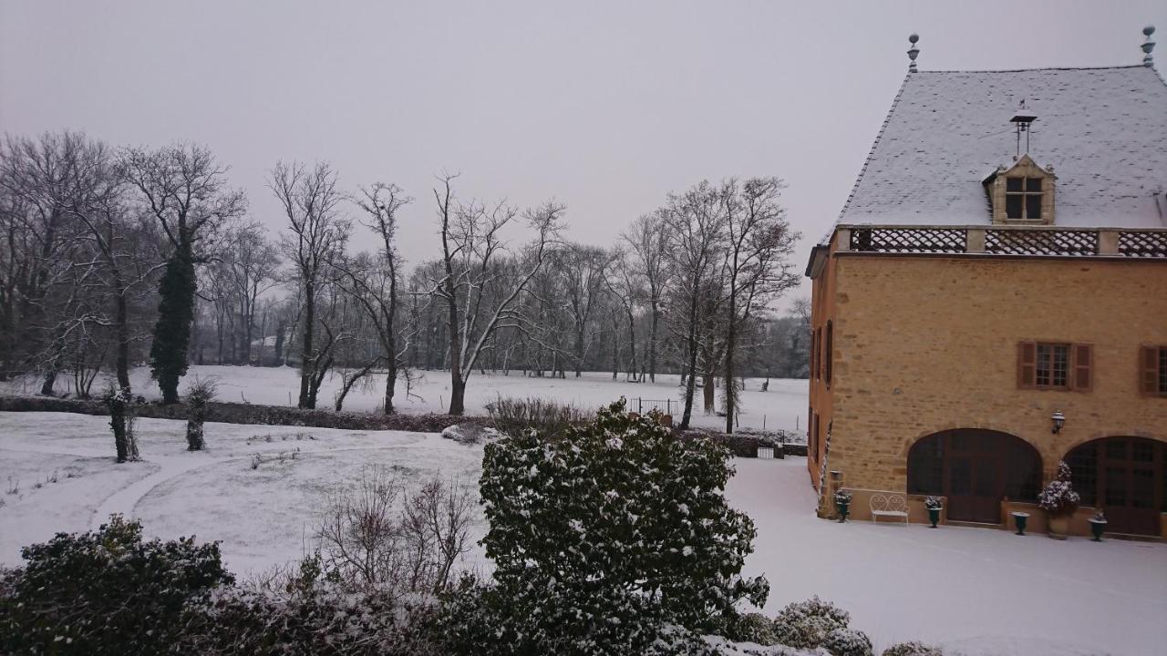 Chateau De La Venerie Denicé Eksteriør bilde